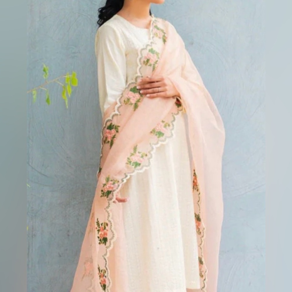 Indian Pakistani dress crosstitch brand